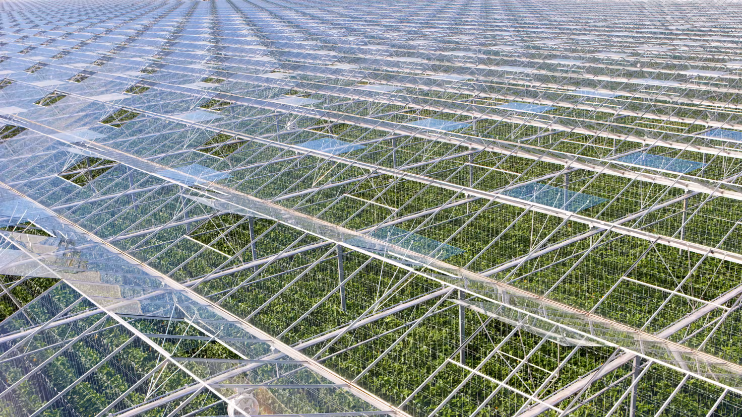 Hi-Tech Irrigation Systems